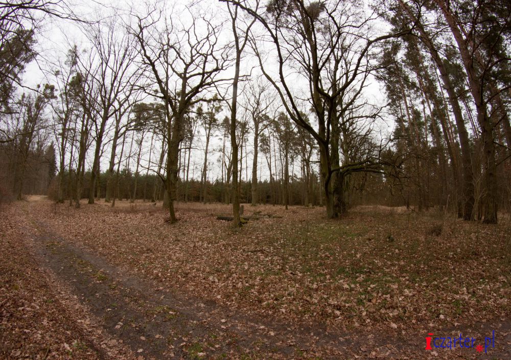 Pętla Żuławska Cmentarz ewangelicki w Białej Górze